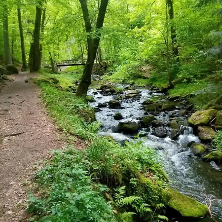 Kohoutek A Slepicka V Novohradskych Horach *