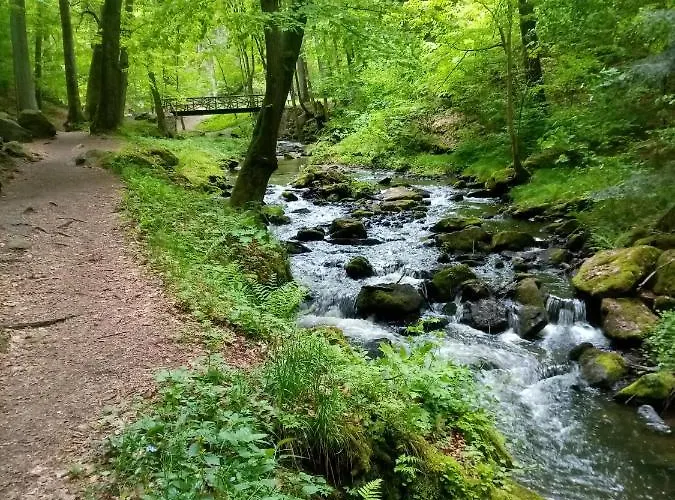 Kohoutek A Slepička V Novohradských Horách *