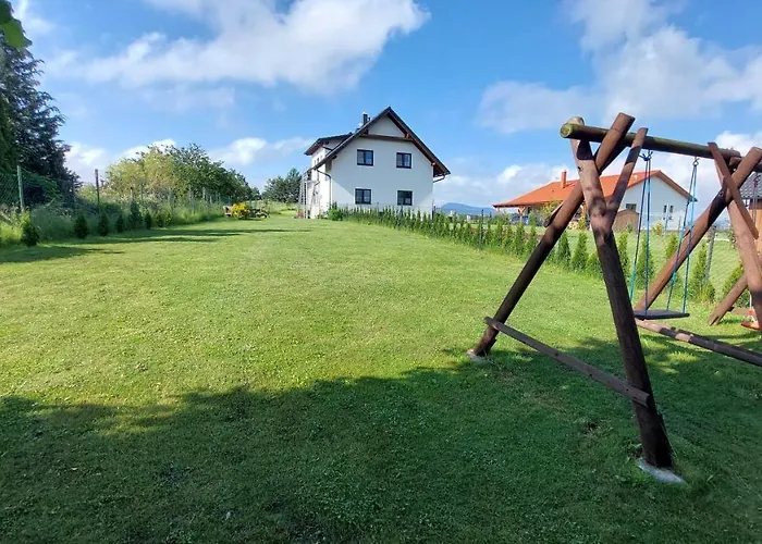 Kohoutek A Slepička V Novohradských Horách Nové Hrady