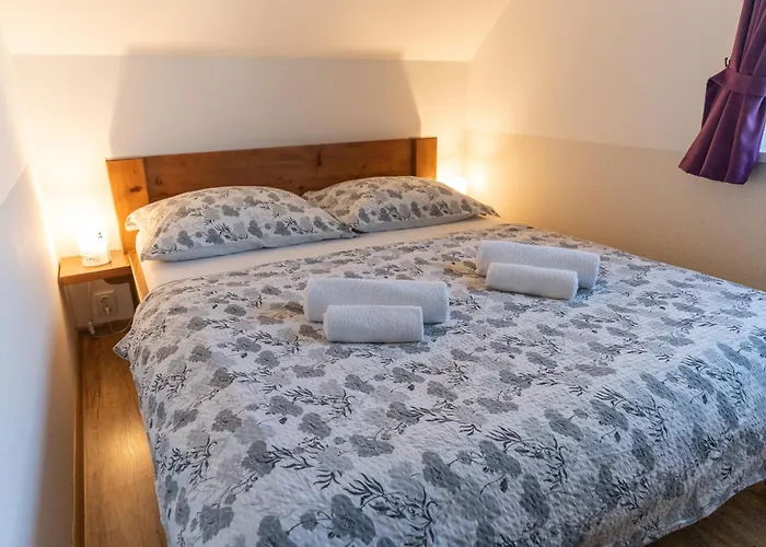 Kohoutek A Slepička V Novohradských Horách * Nové Hrady